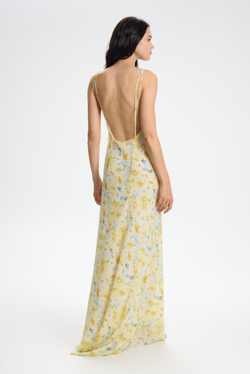 Robi dress